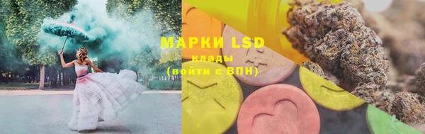 apvp Осинники