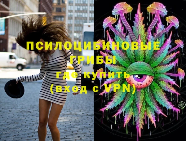 apvp Осинники