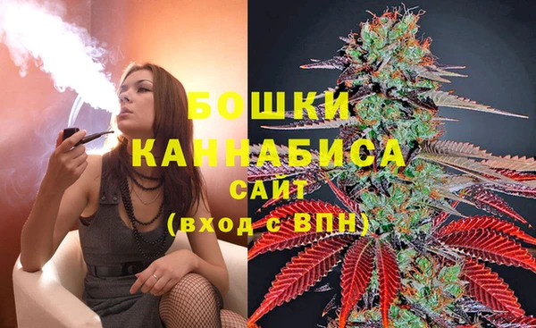 гидра Няндома