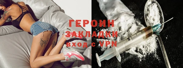 гидра Няндома