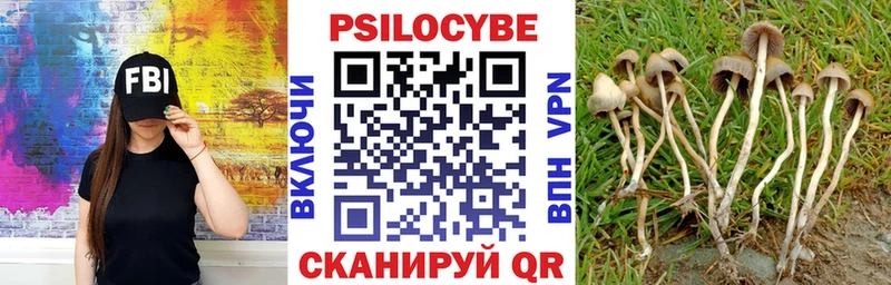 купить наркотики сайты  Омск  Галлюциногенные грибы Magic Shrooms 