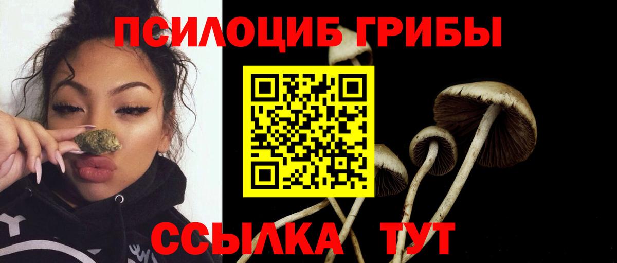 Псилоцибиновые грибы мицелий  Вход с VPN  Омск  Галлюциногенные грибы MAGIC MUSHROOMS 